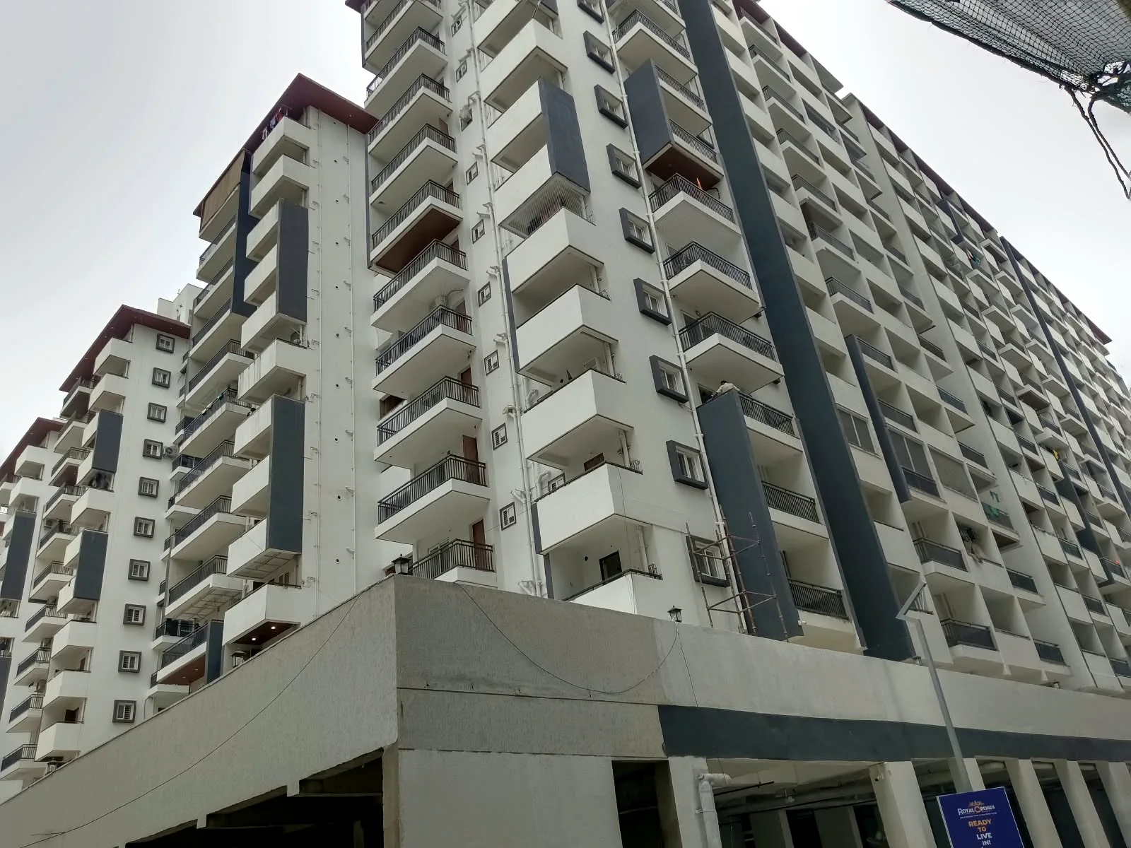 Royal Orchids - Current project facade